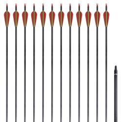 Fl&egrave;che d'arc recourb&eacute; standard 12 pcs 30" 0,76 cm carbone