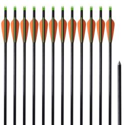 Fl&egrave;che d'arc &agrave; poulies standard 12pcs 30" 0,8 cm fibre de verre