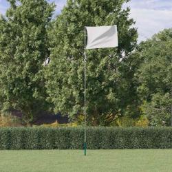 M&acirc;t de drapeau t&eacute;lescopique Argent&eacute; 5,55 m Aluminium