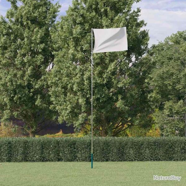M�t de drapeau t�lescopique Argent� 5,55 m Aluminium