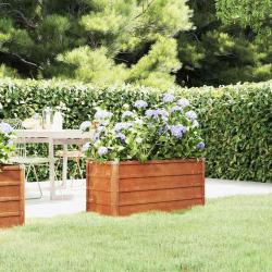 Lit sur&eacute;lev&eacute; de jardin rouill&eacute; 100x40x45 cm acier corten