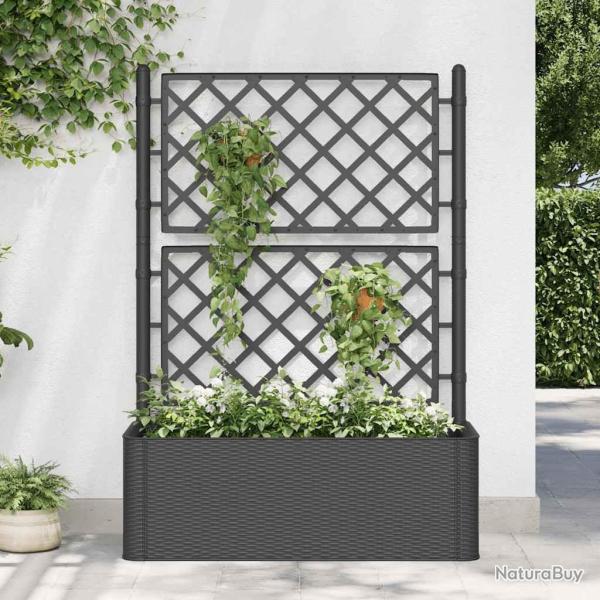 Lit sur�lev� de jardin treillis syst�me d'arrosage Anthracite