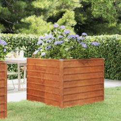 Lit sur&eacute;lev&eacute; de jardin rouill&eacute; 100x100x77 cm acier corten