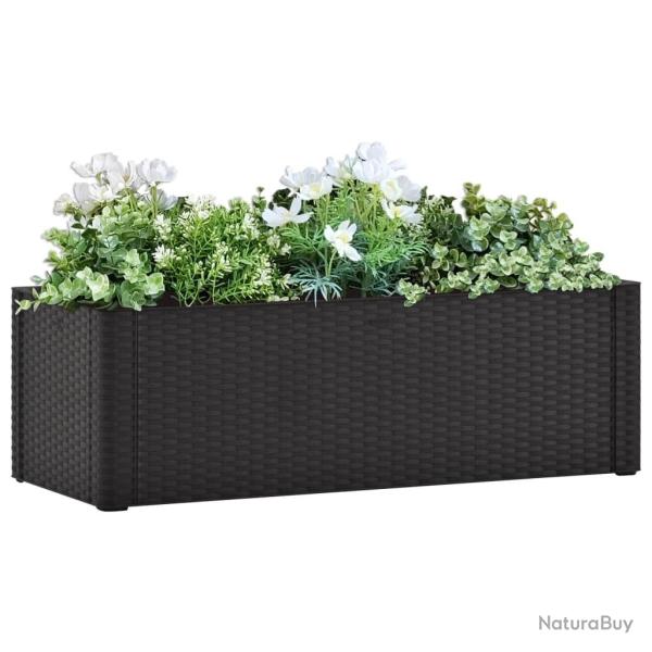 Lit sur�lev� de jardin syst�me arrosage Anthracite 100x43x33 cm alsavelo