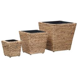 Lits sur&eacute;lev&eacute;s 3 pcs Jacinthe d'eau