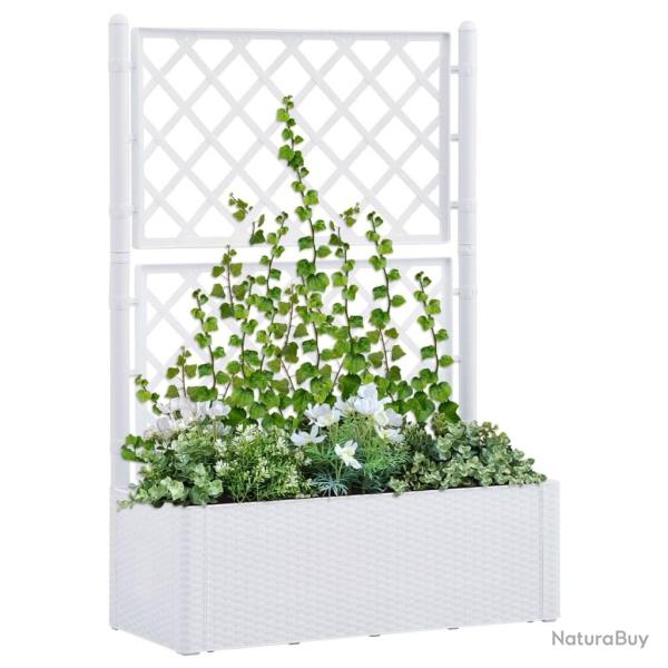 Lit sur�lev� de jardin et treillis et syst�me d'arrosage Blanc