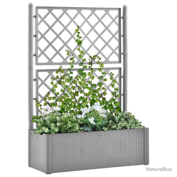 Lit sur�lev� de jardin et treillis et syst�me d'arrosage Gris