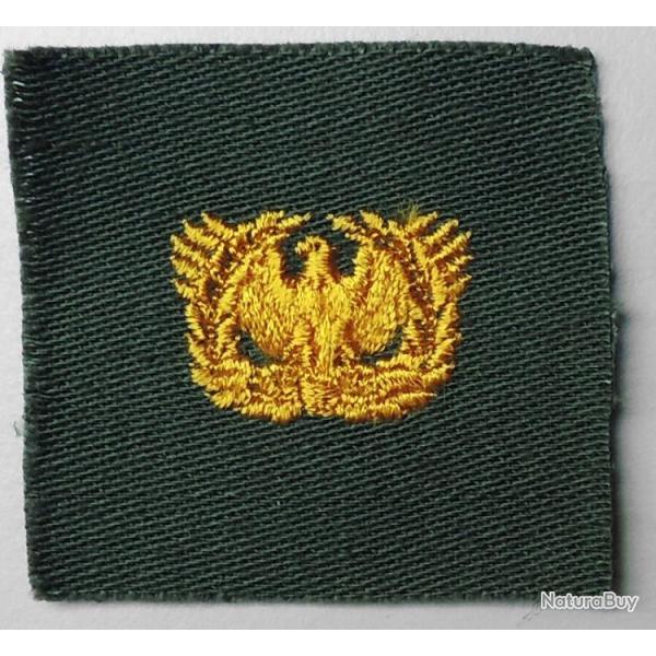 USA authentique collar patch warrant officer olive/drab 40/60 pour collection Ne pas porter