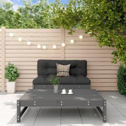 Salon de jardin 2 pcs avec coussins gris bois massif alsavelo