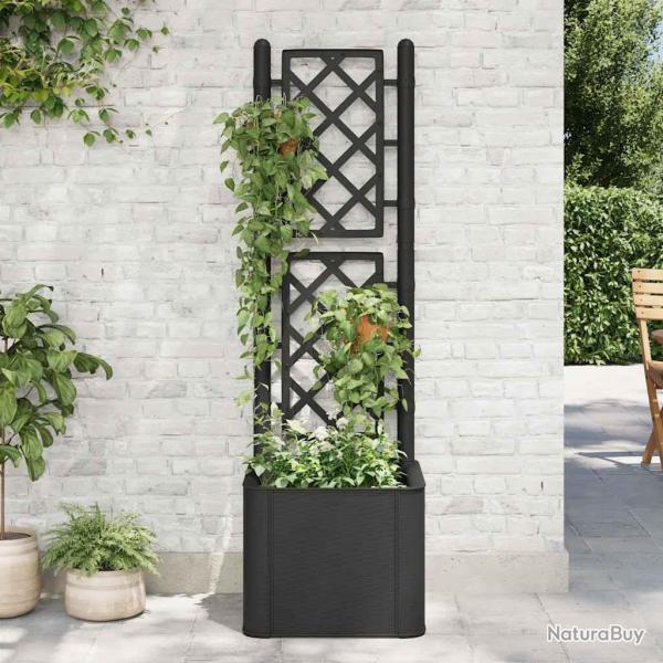 Lit sur�lev� de jardin treillis syst�me d'arrosage Anthracite