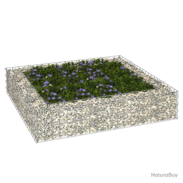 Lit sur�lev� � gabion Acier galvanis� 100x100x20 cm