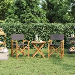 Chaises de metteur en sc&egrave;ne pliantes lot de 2 Bois teck massif