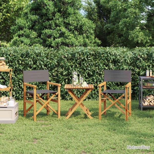 Chaises de metteur en sc�ne pliantes lot de 2 Bois teck massif