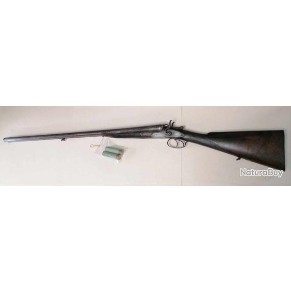 Fusil W.W Greener calibre 10x75