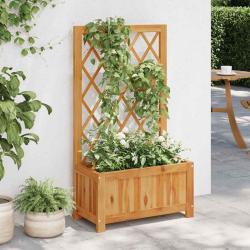 Lit sur&eacute;lev&eacute; de jardin avec treillis Bois massif d'acacia