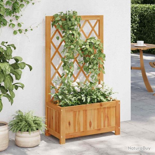Lit sur�lev� de jardin avec treillis Bois massif d'acacia