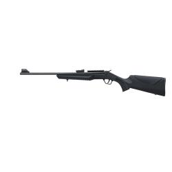 Carabine Rossi .22lr Montenegro