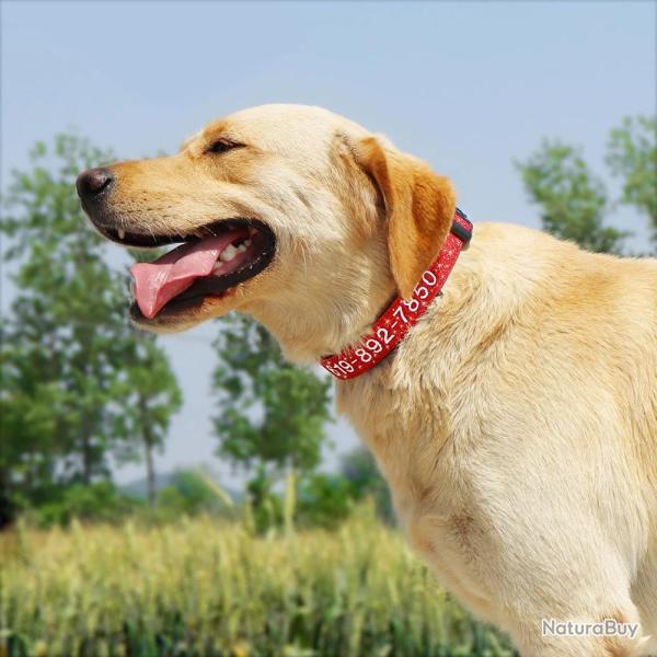 Collier Chien Nylon Brode Personnalise, Couleur: Au Choix, Taille: L