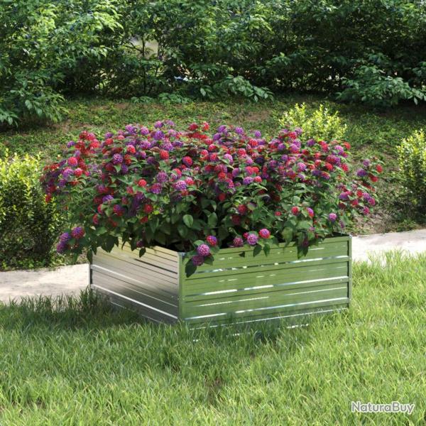 Lit sur�lev� de jardin 100x100x45 cm Acier galvanis� Argent�