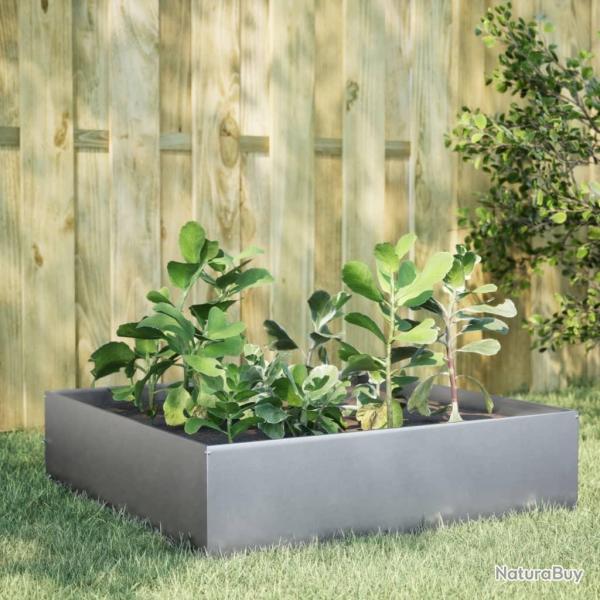 Lit sur�lev� de jardin 100x100x25 cm acier inoxydable