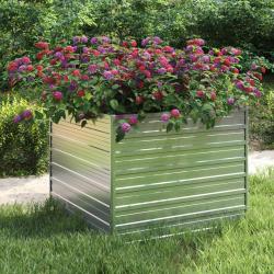 Lit sur&eacute;lev&eacute; de jardin 100x100x77 cm Acier galvanis&eacute; Argent&eacute;