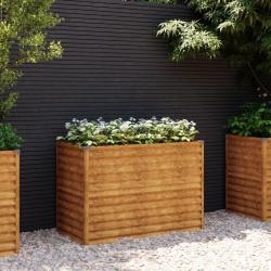 Lit sur&eacute;lev&eacute; de jardin 100x50x69 cm acier corten