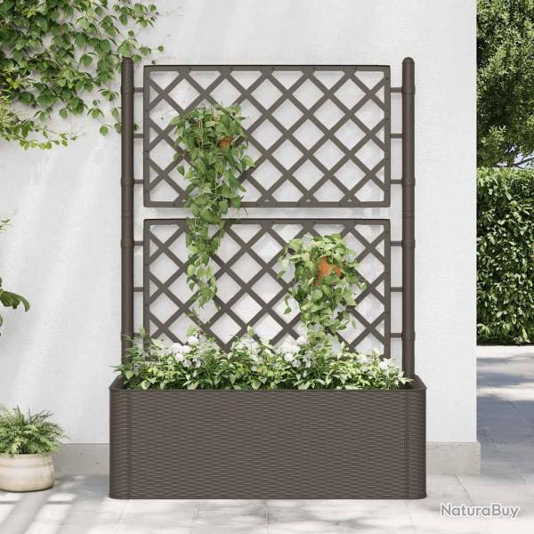 Lit sur�lev� de jardin et treillis et syst�me d'arrosage Moka