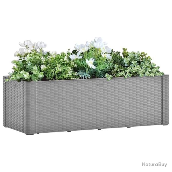 Lit sur�lev� de jardin avec syst�me d'arrosage Gris 100x43x33cm