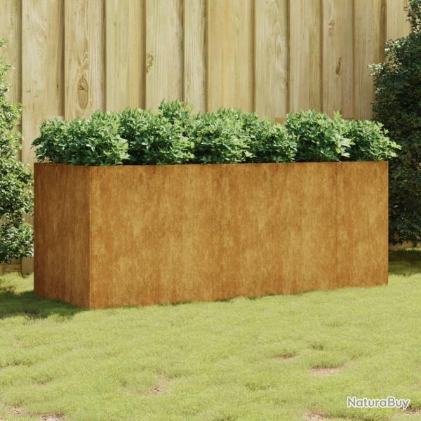 Lit surlev de jardin 200x80x80 cm acier corten alsavelo