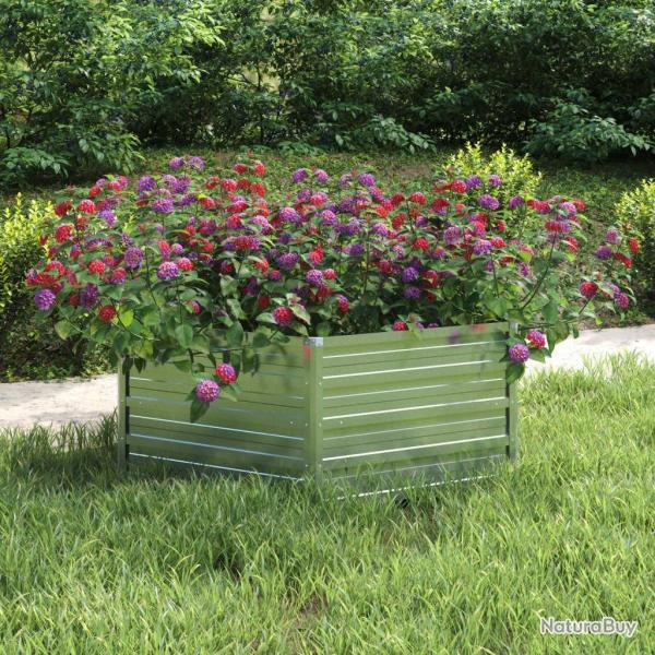Lit sur�lev� de jardin 129x45 cm Acier galvanis� Argent�