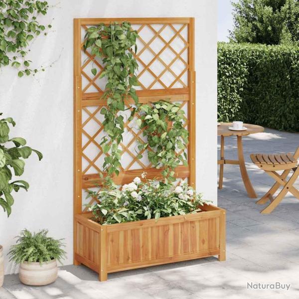 Lit sur�lev� avec treillis 85x38x150 cm Bois massif d'acacia