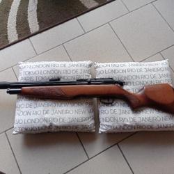 Carabine PCP GAMO RISER PUNISHER 5.5mm 40 Joules sans coups ni rayures proche du neuf