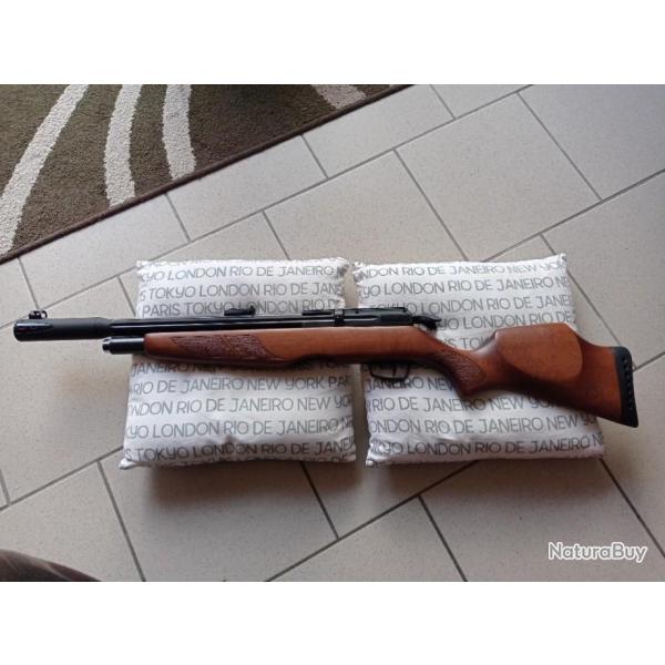 Carabine PCP GAMO RISER PUNISHER 5.5mm 40 Joules sans coups ni rayures proche du neuf