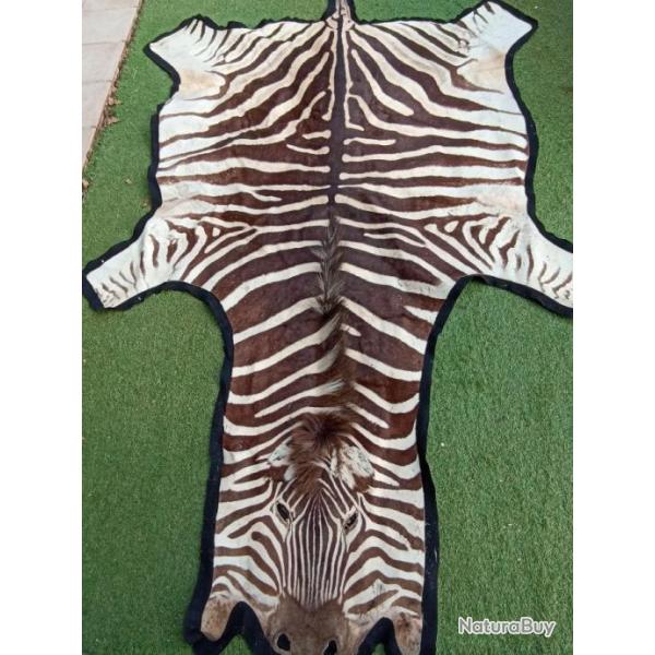 V�ritable Peau de Z�bre, mont�e sur feutre, 2m x 3,40m, tr�s d�coratif, 700E