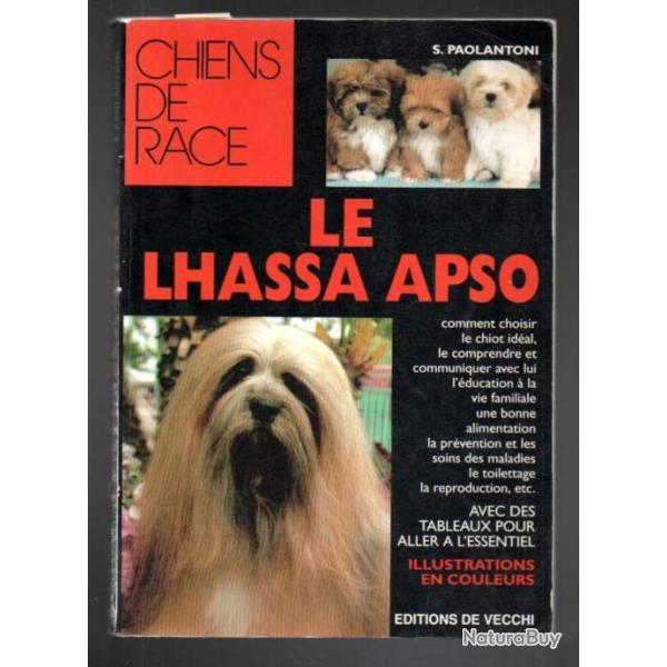 le lhassa apso chiens de race de s.paolantoni