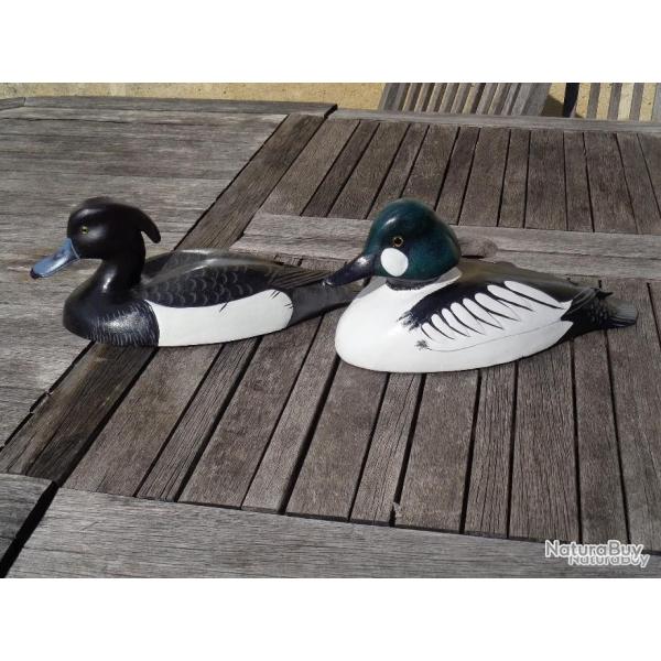 Lot de 2 Blettes en bois decoy sans d�faut : 1 morillon et 1 garrot