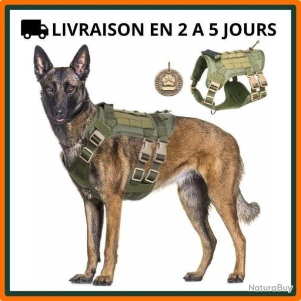 Harnais pour chien - Vert arm�e - S, M, L - Livraison gratuite