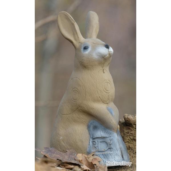 Cible 3D SRT Bunny