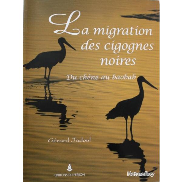Livre La migration des cigognes noires: Du chne au baobab de G. Jadoul