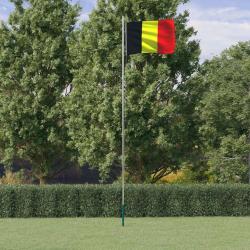Drapeau de la Belgique et m&acirc;t 6,23 m Aluminium alsavelo