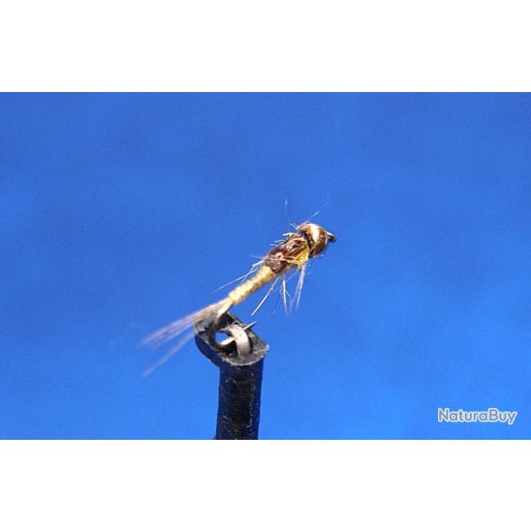 3 Nymphes �ph�m�re T 12