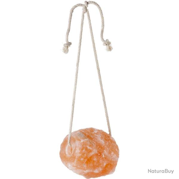 Pierre � sel de l'Himalaya