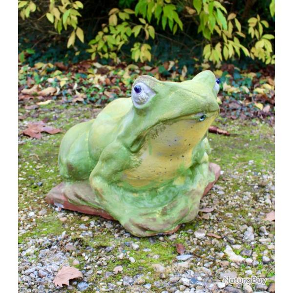 Grenouille de bassin