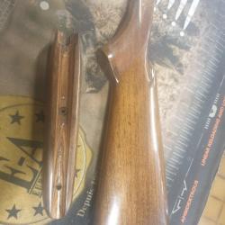 browning semi auto SMOKELES 22lr