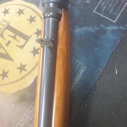 browning semi auto SMOKELES 22lr