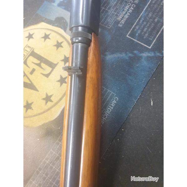 browning semi auto SMOKELES 22lr