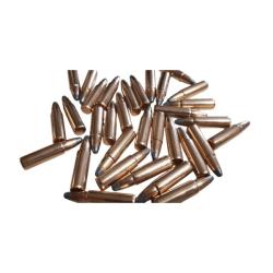 Ogives Sellier Bellot 173 grains SPCE en sachet de 100 ogives
