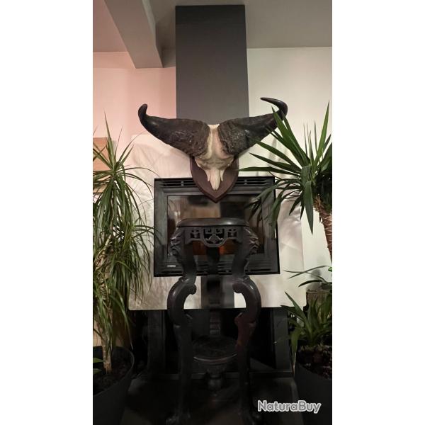 2 massacres Africain