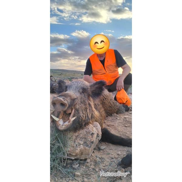 Tunisie 5 jours de chasse.