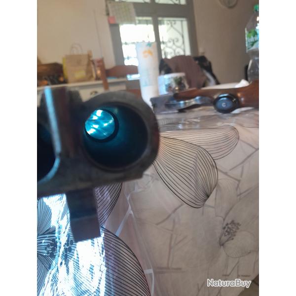 merkel juxtapos� canon rayer